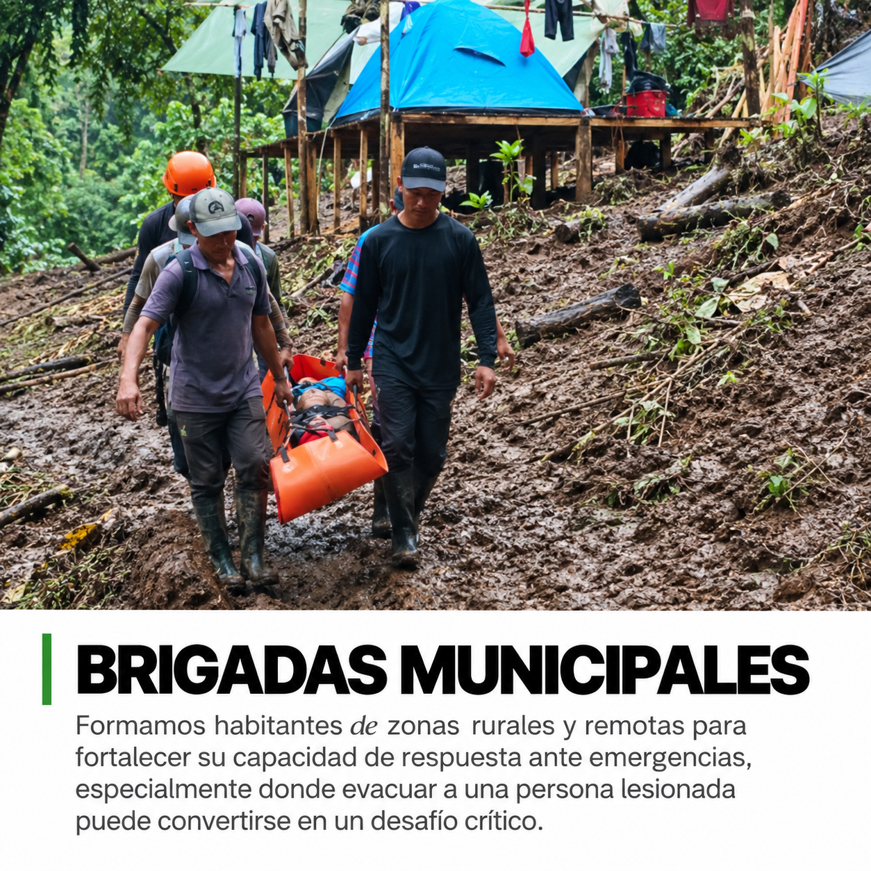 Brigadas municipales en acción